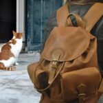 TANIA F BACKPACK noce color leather